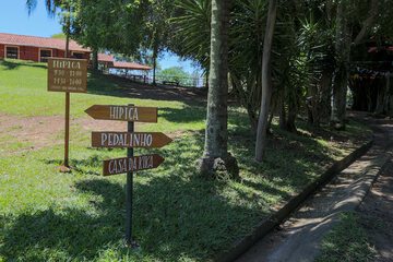 Children's activities