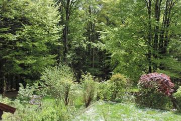 Photo 32