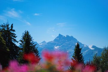 Mountain view