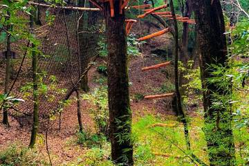 Ziplining