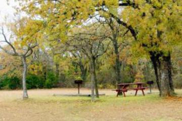 Surrounding environment