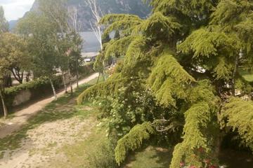 Photo 48