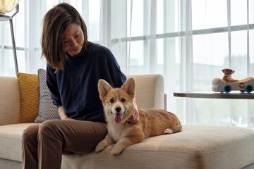 Pet-friendly