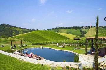 Natural pool