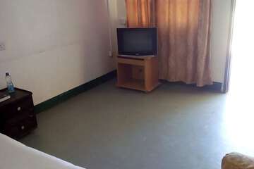 Television