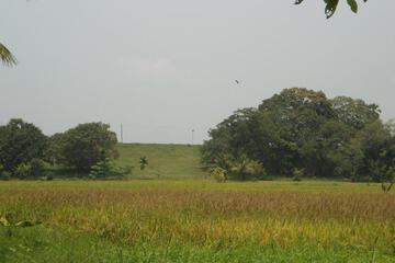 Photo 38