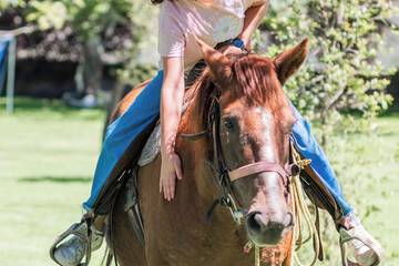 Horseback riding