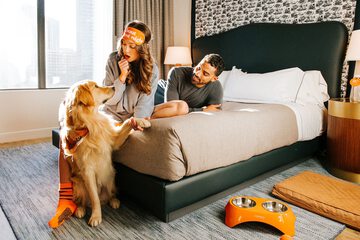 Pet-friendly