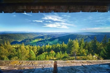 Land view from property