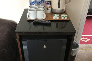 Mini-refrigerator