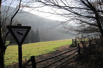 Hiking
