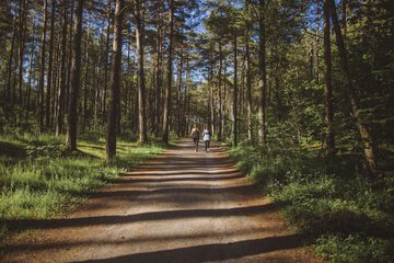 Hiking