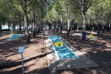 Mini-golf