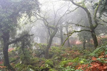 Ecotours