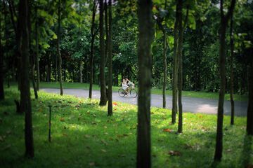 Bicycling