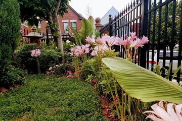 Hotel Exterior 50 of 53