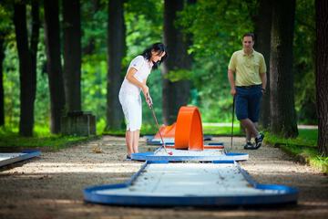 Mini-golf