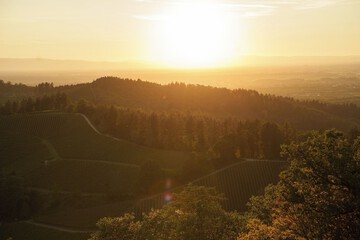 Land view from property