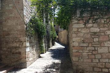 Photo 31