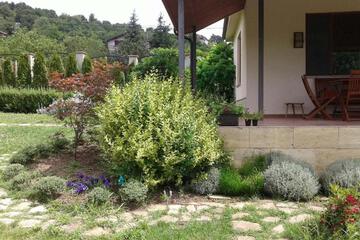 Photo 34