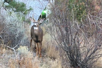 City view from property