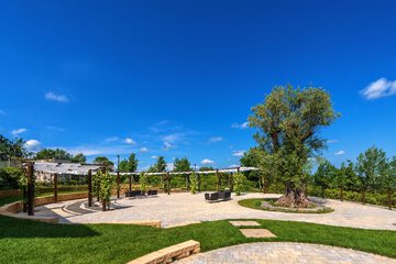Outdoor wedding area