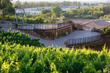 Outdoor wedding area