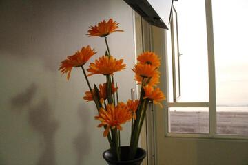 Photo 37