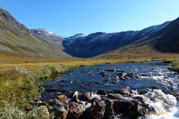 Photo 29