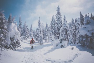 Snowshoeing