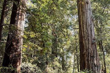 Outdoor wedding area
