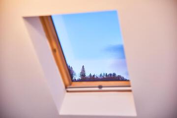 Photo 50