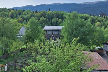 Photo 50