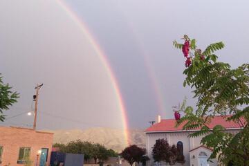 Photo 48