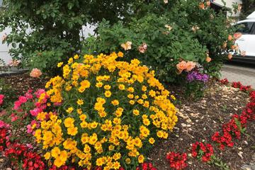 Photo 27