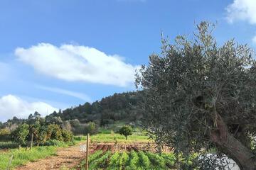 Photo 24