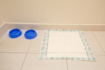 Pet-friendly amenities