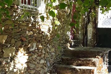 Photo 65