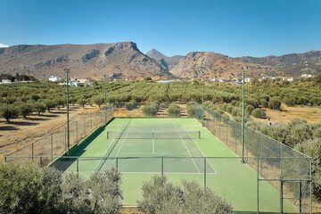 Tennis court