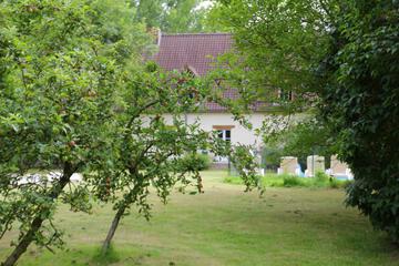 Photo 54