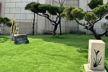 Pet-friendly amenities
