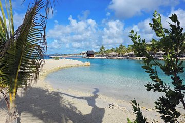 Natural pool