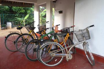 Photo 23