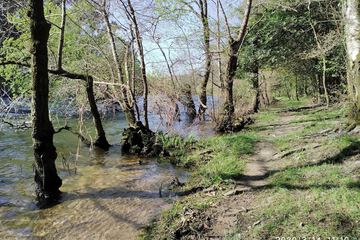 Hiking