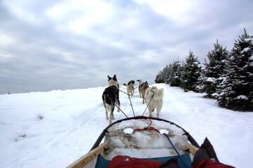 Water Sports 50 of 59