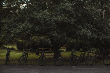 Bicycling