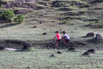 Bicycling