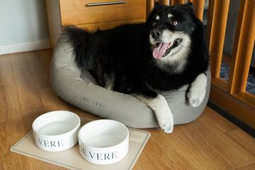 Pet-friendly