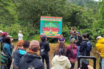 Ecotours