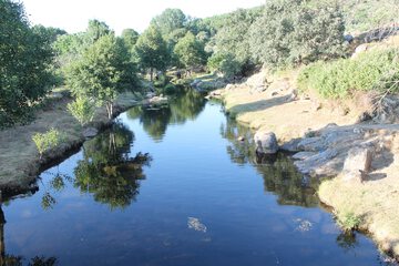 Natural pool